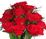 12 Red Roses